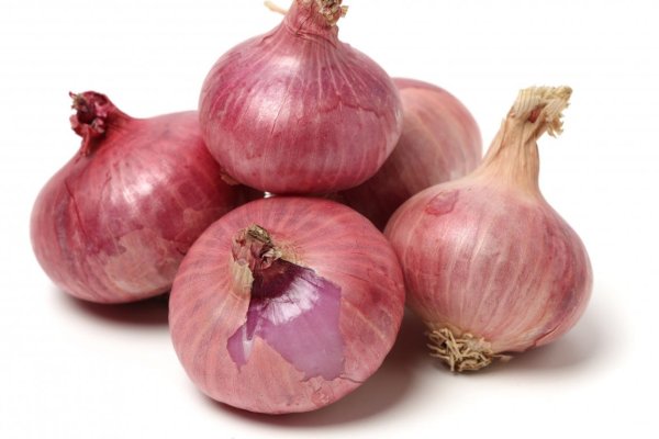 Mega адрес onion